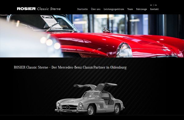 Rosier Classic Sterne